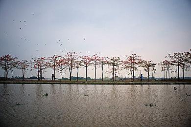 日本玩家票选最折磨人游戏 第一名让人意想不到